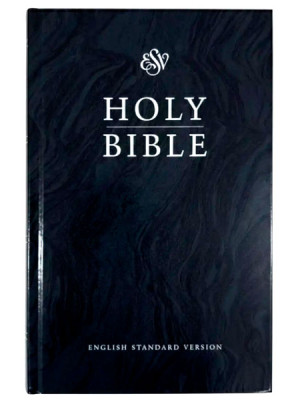 Holy Bible. Библия на английском языке