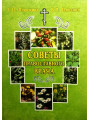 Советы православного врача. Г. П. Плюснина Советы православного врача. Г. П. Плюснина
