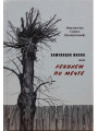 Симуляция жизни, или Реквием по мечте. Иеромонах Симон (Безкровный)