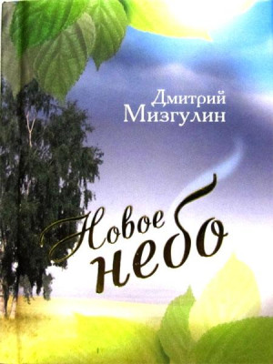 Новое небо. Стихотворения. Дмитрий Мизгулин