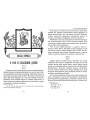 Отеческие советы. Архимандрит Ефрем Филофейский (Мораитис)